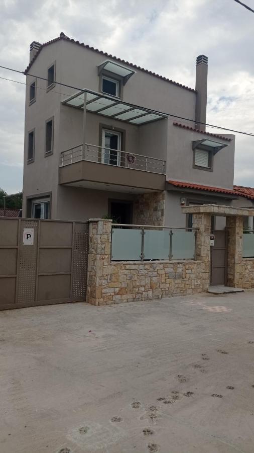 Elena Apartment Artemida  Exterior photo